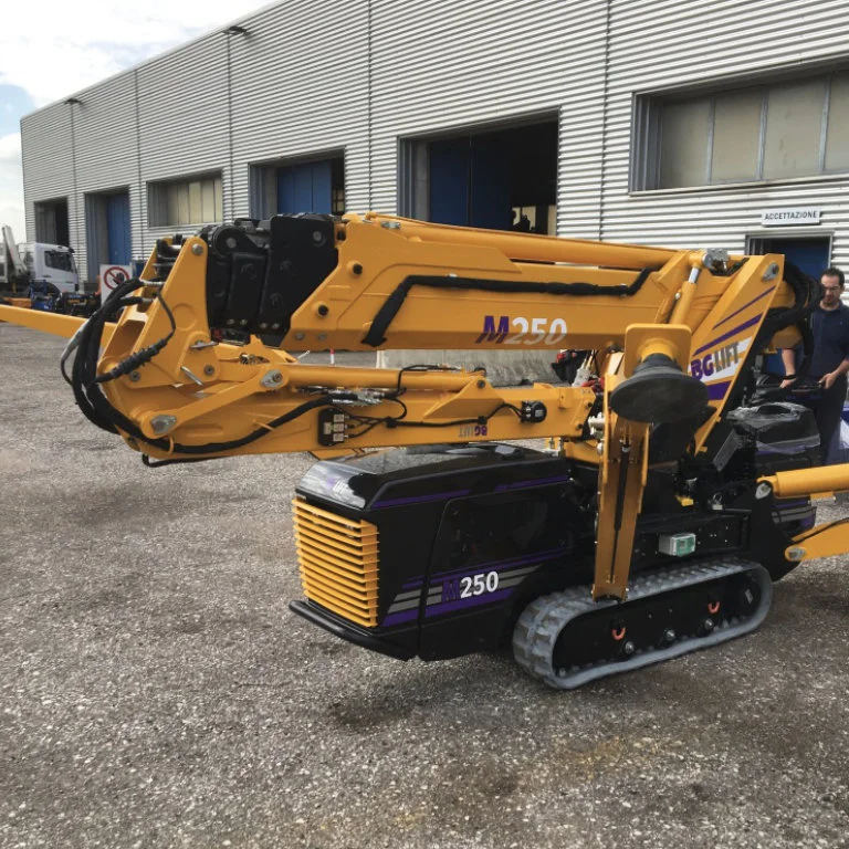 мини-кран bglift m250 фотографии