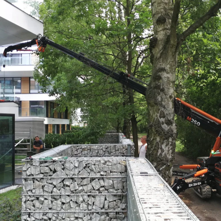 мини-кран bglift m250 фотографии