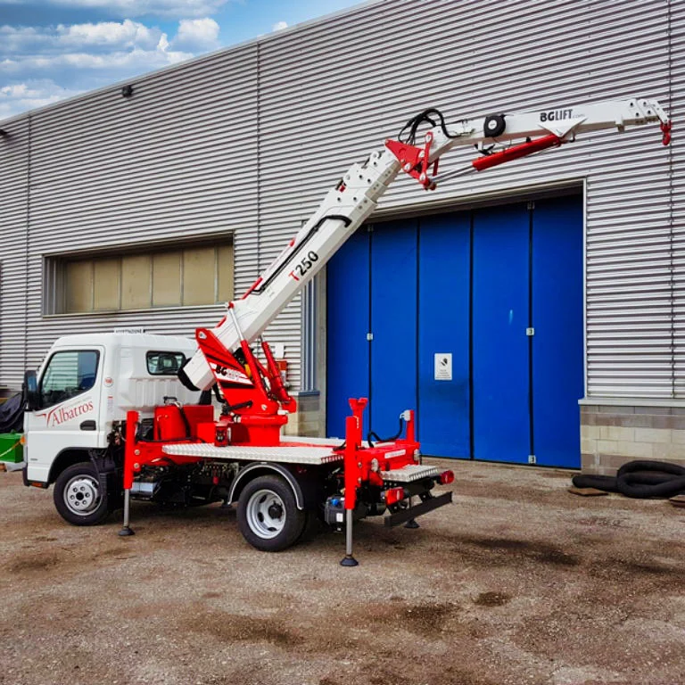 mini-celtnis bglift t250 fotogrāfijas