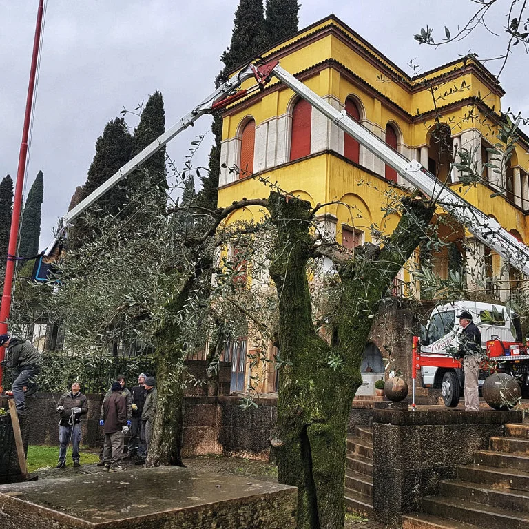 mini-celtnis bglift t250 fotogrāfijas