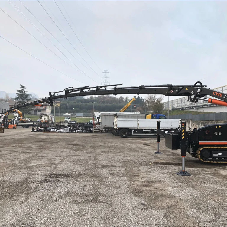 mini-guindaste bglift cwe315 fotos