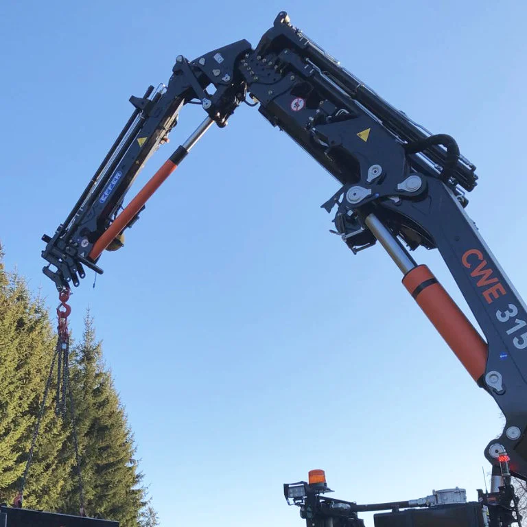 mini-guindaste bglift cwe315 fotos