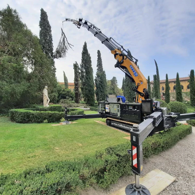 mini-guindaste bglift cwe525 fotos