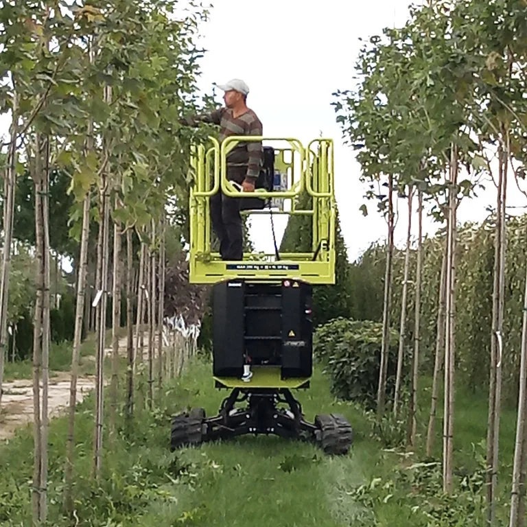 ножничный-подъемник almac bibi-870bl фотографии