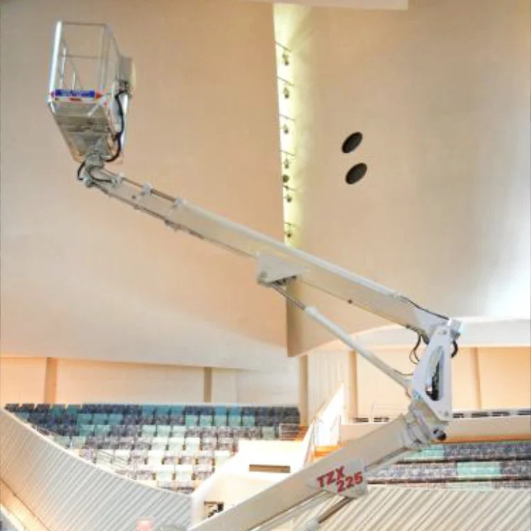 гусеничный-коленчатый-подъемник palazzani tzx225 фотографии