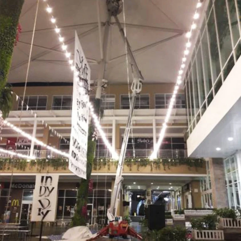 гусеничный-коленчатый-подъемник palazzani tzx225 фотографии