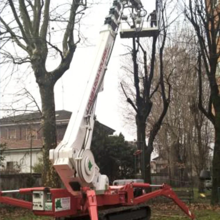 гусеничный-коленчатый-подъемник palazzani xtj43 фотографии