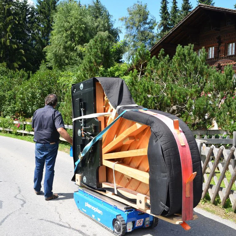 stair-climber pianoplan 600j-speedy-standard photos