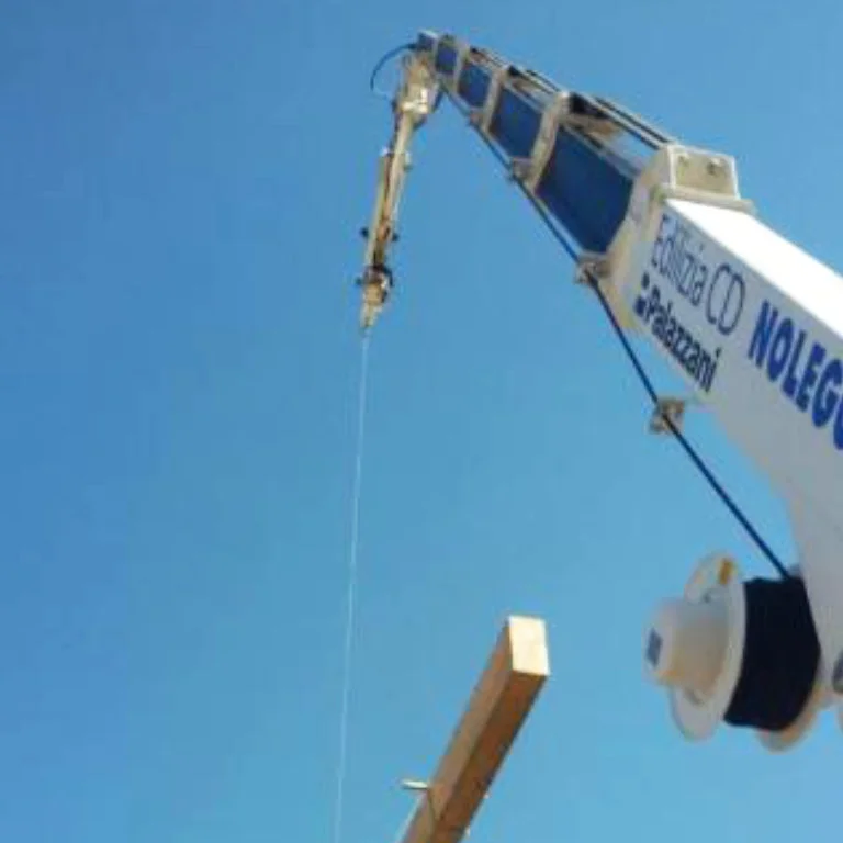 гусеничный-коленчатый-подъемник palazzani hydraulic-winch-500kg photo