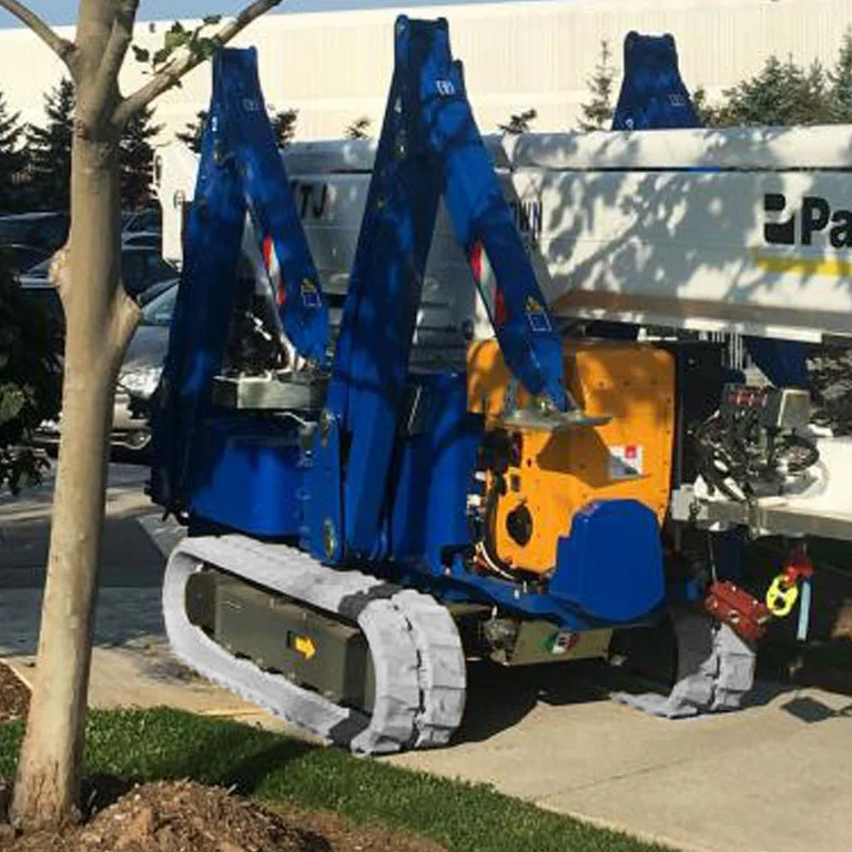 valged rajad, suured palazzani jaoks