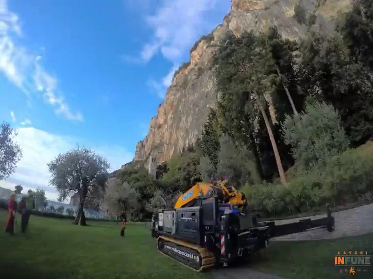 video BGLIFT CWE525 tree cuttting