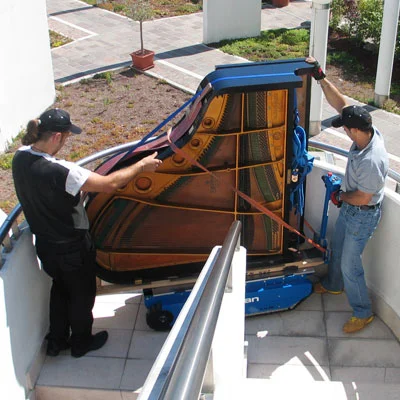 Eraldi juhitavad roomikud